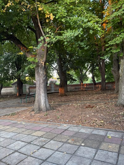 The image shows a park-like area with mature trees and a paved walkway. The trees are large and leafy, with thick trunks. Some of the trees have orange markings around their bases, possibly from paint. A park bench is visible under one of the trees. The ground is covered with fallen leaves and debris. In the background, there is a low wall and a building with a tiled roof. The lighting suggests it is either early morning or late afternoon, with sunlight filtering through the leaves and casting long shadows. The scene appears to be in a quiet, outdoor public space within the city of Blatets, Bulgaria.
