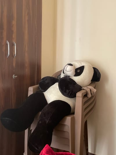 The image captures an indoor scene dominated by a large black and white plush panda toy. The panda is seen in a relaxed position, leaning against a light brown, multi-tiered plastic storage unit or shelf. Its head is visible on the left, displaying characteristic black eye patches, ears, and a stitched smiling mouth, with a small metallic ring or clasp near its chin. Its plush, black-furred limbs extend downwards.
The background to the left of the panda features a plain, light cream-colored wall or ceiling. Below the panda and the storage unit, a polished wooden surface with a prominent brown grain pattern is visible, likely a table or a drawer unit. Two silver-colored, horizontal metal handles are attached to this wooden surface in the lower left section of the image. A small, round object, white with a black center, possibly a button or a toy piece, rests on the wooden surface to the right of the handles. A glimpse of bright red, textured fabric, potentially a blanket or towel, is visible on the far right, partially tucked behind the panda's leg.
The scene suggests a domestic setting, possibly a child's room or a casual living area within a home in Noida, India. The lighting is consistent with indoor ambient conditions. There is no human activity taking place, and no visible text in the image.
