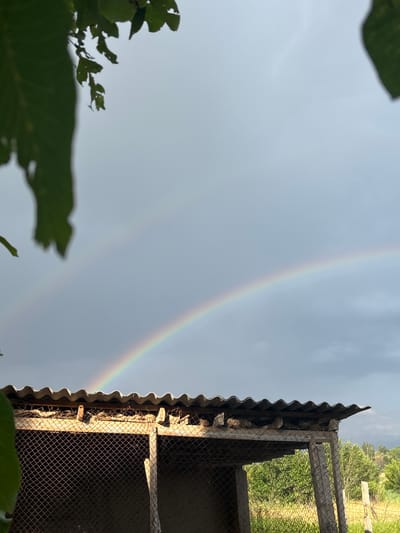 The image depicts a rural scene with a double rainbow arching across a cloudy sky. In the foreground, the corrugated roof of a rustic structure, possibly a chicken coop, is visible. The structure is partially enclosed by wire mesh and appears weathered. On the left side of the image, out-of-focus green leaves hang into the frame, suggesting foliage. In the background, a green, treed landscape extends to the horizon. The location is identified as Kyzyl Shalola, Uzbekistan. There are no people or animals clearly visible in the image, and no specific actions are being performed. The environment appears to be outdoors, likely after a rain shower, given the presence of the rainbow. The lighting suggests it is daytime, possibly late afternoon.