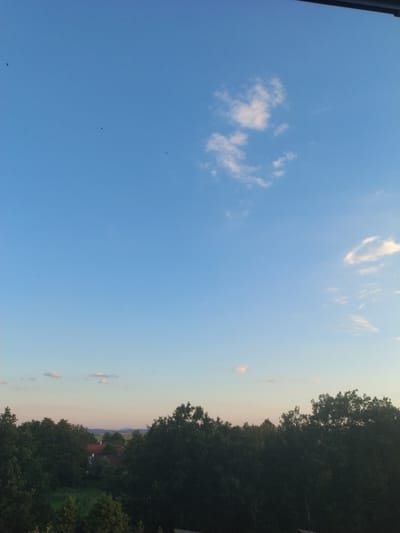 The image depicts a clear blue sky with scattered white clouds. A line of dark green trees runs across the bottom of the frame, partially obscuring a view of red-roofed buildings and distant hills. Several small dark specks, possibly birds or insects, are visible in the sky. The overall scene suggests an outdoor view, likely from a window or balcony, overlooking a suburban or rural area.