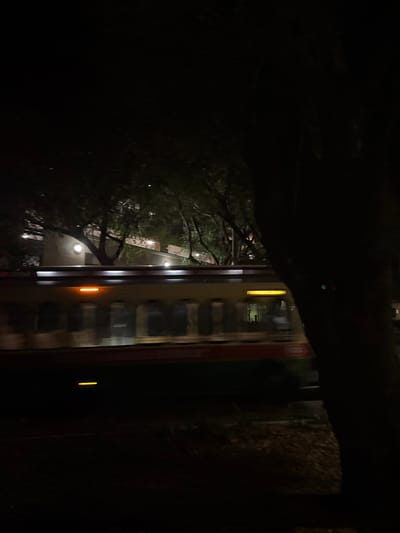 A nighttime view, partially obscured by foliage, captures a building's exterior. Lights illuminate the structure, contrasting with the darkness. A train passes by, blurred from motion, its windows reflecting light. Dark branches and dense shadows dominate the foreground, framing the scene.