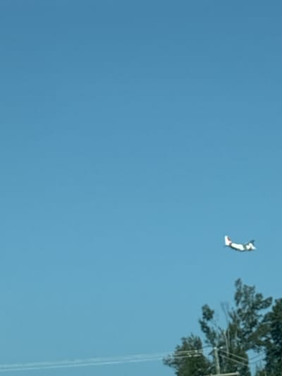 A small, white and red aircraft is visible in the clear blue sky, flying at a distance. The plane is positioned in the upper right quadrant of the image. In the lower part of the frame, the tops of several trees are visible, some with their branches silhouetted against the sky. Power lines and a utility pole are also present, adding to the scene's terrestrial context. The overall setting appears to be outdoors, under a bright sky.