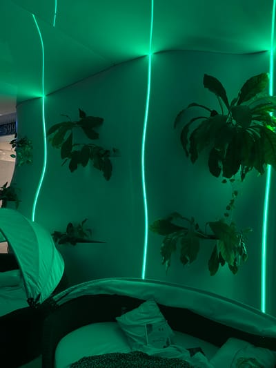 An indoor space in Săftica, Romania, is depicted with a dominant green light source. Light-colored, undulating walls form the background, featuring integrated vertical strips of glowing green LED lighting. Multiple green-leafed plants are affixed to these walls at various heights, some appearing to be on small shelves or mounts. In the foreground, two dark-colored, woven daybeds or lounge chairs with light-colored cushions are partially visible. The daybed on the left includes a partially open green fabric canopy. The daybed on the right displays a pillow with a small tag or card on its surface, and a dark, patterned blanket (specifically, a leopard print) is draped over a portion of it. No individuals are present.