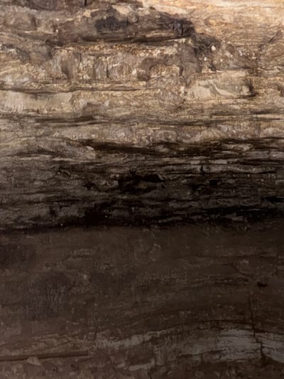 The image displays a close-up, horizontal view of layered rock formations, likely a cave wall or overhang. The rock exhibits distinct horizontal striations, with alternating bands of lighter, off-white material and darker, earthy tones, suggesting sedimentary deposits. Some sections appear rough and uneven, while others are smoother. The lighting suggests an enclosed, possibly underground environment, with shadows contributing to the textured appearance. There are no people, animals, or man-made objects visible. The scene is devoid of any specific identifiable landmarks that would place it within Guttapadu, India.