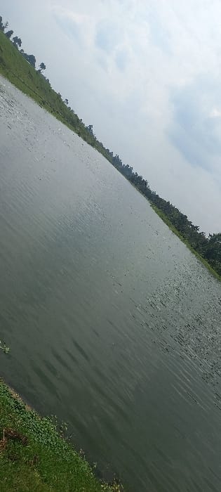 This image depicts a natural outdoor scene in Huruma ward, Kenya, captured with a clockwise tilt of approximately 40 degrees. A large body of dark green water, displaying prominent surface ripples and faint reflections, occupies the majority of the frame. In the lower left foreground, a narrow strip of green grass and leafy ground cover marks the immediate shoreline. Across the water, a distant treeline composed of numerous green trees and dense brush forms a continuous bank extending diagonally from the middle-right to the upper-right. The sky, visible in the upper portion of the image, is characterized by scattered white and grey clouds against a lighter, possibly overcast, background. No human subjects, animals, man-made objects, specific actions, or interactions are present in the frame.