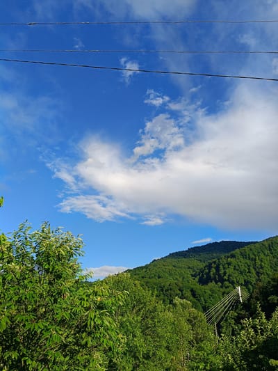 A bright, sunny day in Kepsha, Russia, is depicted in this landscape photograph. The sky is a vibrant blue, dotted with fluffy white clouds. Three parallel power lines stretch horizontally across the upper portion of the frame, intersecting the sky. Lush green trees dominate the foreground and middle ground, with a dense forest covering a rolling hillside in the background. On the right side of the frame, a modern white suspension bridge with a network of cables is visible amidst the trees. The overall scene conveys a serene and natural environment.