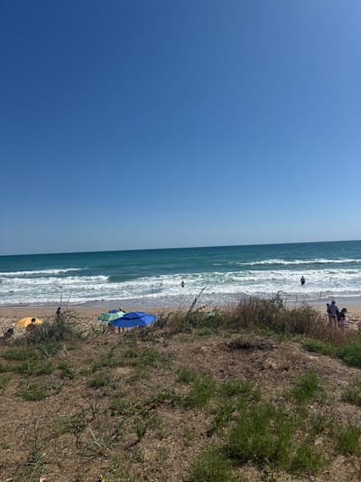 This is a full-frame, eye-level, outdoor shot taken in Shabla, Bulgaria, depicting a beach scene on a clear, sunny day. In the foreground, dry grasses and sparse vegetation cover the sandy ground. Further back, a sandy beach stretches towards the turquoise waters of the sea, where moderate waves are breaking. Several beach umbrellas, one yellow, and two multi-colored (blue, green, yellow) are set up on the sand. A few people are visible on the beach and wading in the shallow water. One person is standing in the ocean, while another is further out. In the middle ground, a small group of individuals, including a man and a woman with a child, are gathered near the umbrellas. In the distance, the vast expanse of the sea meets the clear blue sky, with a faint shadow of what appears to be a bird or aircraft visible in the upper left quadrant of the sky.
