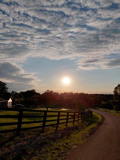 The image depicts a rural landscape at sunset, possibly in Berea, United States of America. A dark wooden fence runs along a gravelly path bordered by grass. Beyond the fence, a road curves to the right, with trees and houses visible in the middle ground. The sky is filled with wispy clouds, and the setting sun casts a warm glow over the scene. A car is parked near a white house on the left side of the image. The overall impression is one of tranquility and natural beauty.