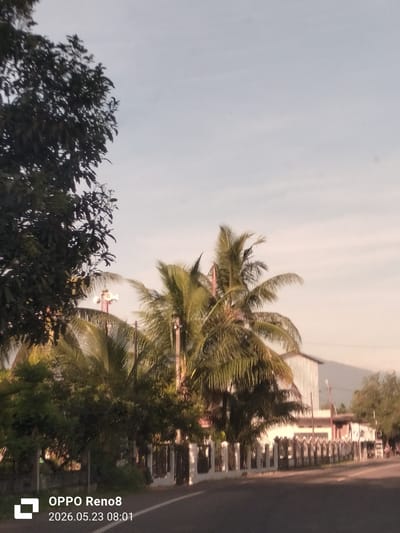 The image captures a street scene in Matangwakeuh, Indonesia, with trees and foliage dominating the foreground. A road runs along the bottom of the frame. A light-colored fence lines the side of the road. Behind the fence are buildings, with a taller, metal-sided structure in the center. In the background, a mountain is faintly visible. A cellular tower with multiple speakers can be seen behind the palm trees. The overall lighting suggests it is early morning. At the bottom-left corner of the image, there is a watermark displaying "OPPO Reno8" and a timestamp of "2026.05.23 08:01".