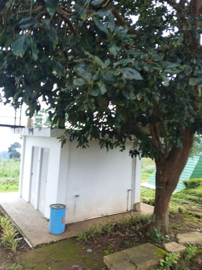 An outdoor scene in Man Gyat, Myanmar, depicts a single-story, rectangular utility building with white exterior walls and a flat roof, situated on a concrete slab foundation. Two white, hinged doors are visible on the left side of the building's facade. A large, deciduous tree with a thick brown trunk stands to the right of the building, its dense canopy of dark green leaves extending over and partially obscuring the building's upper portion.
A blue metal barrel with a lid rests on the concrete slab near the front right corner of the building. Visible on the building's exterior wall are sections of white piping. The ground surrounding the building and tree consists of exposed earth, scattered green foliage, and patches of moss. Low-lying variegated plants with green and yellow leaves are positioned along the base of the building. Two rectangular concrete blocks, partially covered in moss, are present on the ground to the right.
In the background, beyond the building on the left, an open grassy area is visible with a distant tree under an overcast sky. To the right in the background, a structure with a distinct green, sloped roof is present. No individuals or animals are visible within the frame.