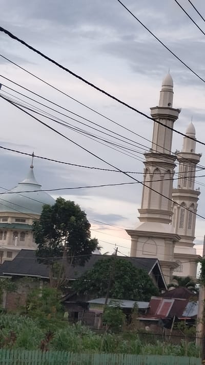 This vertical outdoor shot captures a mosque and its surrounding environment in Sukamulia, Indonesia, under a cloudy sky. The image is heavily characterized by numerous dark electrical or utility wires that crisscross the frame horizontally and diagonally, partially obscuring the view of the sky and the structures.

On the left side of the frame, the upper portion of a large mosque dome is visible. The dome is a light green or light blue color and is topped with a distinct finial. Below the dome, part of the mosque's intricate light-colored facade, featuring arched windows and railings, can be seen. A large, dense green tree stands in the mid-ground, partially concealing the mosque's main structure.

To the right, two tall, slender minarets of the mosque rise prominently. These minarets are a light, possibly off-white or cream color, constructed in multiple sections with decorative carvings and small arched openings. Each minaret culminates in a pointed finial.

Below the mosque structures and the large tree, various residential buildings are visible. One building features a dark, sloped roof, while another appears to be a more rustic dwelling with a reddish corrugated metal roof. The lower foreground is filled with lush green vegetation, including bushes and plants, with a light-colored fence or barrier visible at the very bottom.

The sky is overcast with a soft, diffused light, suggesting either early morning or late afternoon conditions, with hints of lighter, possibly warmer tones near the horizon. No people are visible, and no specific activities are taking place. No discernible text is present. The scene offers a view of a local mosque as a prominent landmark within a residential setting, framed by overhead utility lines.