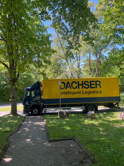 The image shows a blue and yellow Dachser logistics truck parked on a paved sidewalk next to a grassy area with trees. The sky is visible through the tree branches. The location is in Bad Rappenau, Germany.