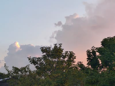 The image shows a view of the sky with clouds and trees in the foreground, taken in Bonn, Germany. The sky is a pale blue at the top, transitioning to soft pink and white hues towards the horizon, indicating it is either sunrise or sunset. Large, fluffy clouds are scattered across the sky, some catching the light with a golden glow, while others are tinged with pink and white. In the lower portion of the image, the dark green foliage of trees fills the frame, with their branches reaching upwards towards the sky. Part of a dark, corrugated roof is visible at the bottom left, suggesting a building or structure is present. The scene is calm and natural, with no people or specific urban features readily identifiable beyond the roofline.