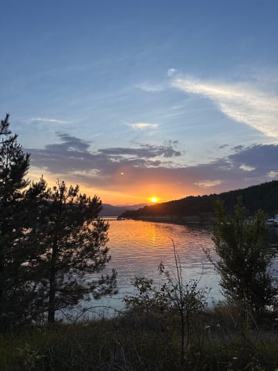 This image depicts a detailed outdoor scene at sunset over a large body of water, consistent with a reservoir, in the vicinity of Brosh, Bulgaria. The sky occupies the upper two-thirds of the frame, displaying a gradient from light blue at the zenith to darker blue-grey, purple, and intense orange-red closer to the horizon. Wispy, white cirrus clouds are present in the upper sky, while more prominent, dark grey and purple clouds are scattered across the mid-sky.
The sun, a bright yellow-orange orb, is positioned slightly left of the image's center, resting just above a distant, low-lying landmass. Its light creates a prominent, elongated reflection across the water surface, shimmering in shades of orange, red, and yellow, with visible ripples. Beyond the direct reflection, the water darkens to a muted blue-grey. On the far right side of the water body, several small white structures, possibly boats or floating docks, are visible near the shoreline. A faint, light-colored linear structure, potentially a bridge or causeway, spans the water in the mid-distance.
The immediate foreground is characterized by dark silhouettes of coniferous trees, primarily pine trees, on the left side, their branches and needles sharply defined against the illuminated background. The bottom edge of the image features dense, dark undergrowth, including bushes, thorny branches, and grasses. A densely forested hill or mountain range forms a dark silhouette along the distant right shoreline, while a more distant, hazy blue-grey mountain range is visible on the left. No individuals or animals are present.