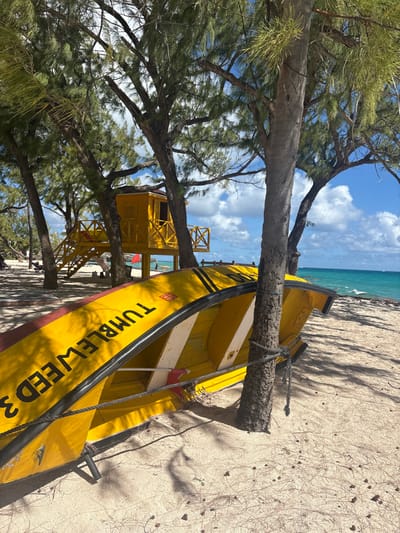 The scene depicts a sandy beach in Wellhouse, Barbados, under a partly cloudy blue sky. In the foreground, a bright yellow boat, inverted and resting on the sand, bears the black capital lettering "TUMBLEWEED 3" on its exposed hull, along with black trim and vertical white and yellow stripes on its underside. This boat is secured to the trunk of a prominent tree by a dark rope. Numerous tall trees with dense, needle-like foliage cast shadows across the light-colored sand, which is scattered with fallen needles and small pebbles. In the midground, a elevated, bright yellow wooden structure, consistent with a lifeguard or watch tower, features an enclosed cabin with visible windows, a red roof, and an attached staircase with 'X'-patterned railings. Two indistinct figures are visible near the base of this tower. To the right of the tower, closer to the water, another yellow wooden structure is partially visible. The turquoise ocean in the background shows gentle waves approaching the shore, with one figure partially visible standing in the shallow water.