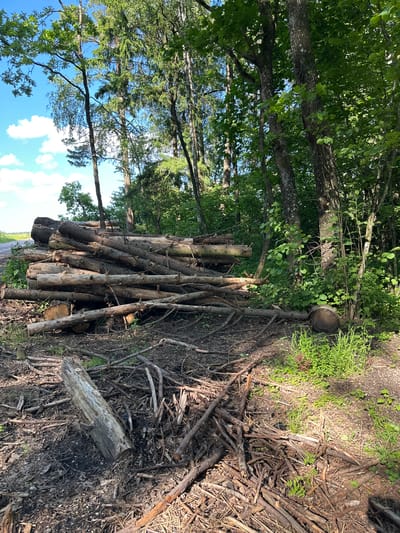 A pile of cut logs is situated on the ground beside a dirt path and a wooded area. The logs vary in size and are stacked unevenly. The surrounding environment is characterized by trees, undergrowth, and fallen branches scattered across the forest floor. The scene appears to be in a rural or natural setting, possibly a forest or a logging site. The sky visible through the trees is blue with scattered white clouds. There are no people or animals visible in the image.