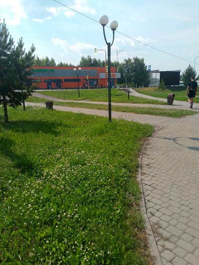 The image captures a scene in Polysayevo, Russia, on a sunny day with a partly cloudy sky. A paved walkway curves through a grassy area dotted with small white clover flowers. To the left, a dense patch of grass and a young pine tree are visible, casting shadows. In the background, an orange and gray building with prominent signage and arched windows stands behind a set of concrete stairs. Further down the walkway, a man with a backpack walks away from the camera. A black bus stop shelter with glass panels is located to the right of the building. The environment appears to be a public space, possibly near a shopping center or commercial area, characterized by landscaping and pedestrian access.