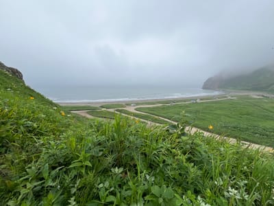 This image depicts a coastal landscape, likely in Tikhoe, Russia, characterized by a rocky cliff on the left and a gently sloping green hillside leading down to a beach and the ocean under a heavily overcast sky. The foreground is filled with lush green vegetation, including various types of grass and broad-leafed plants, with a few small yellow and white flowers interspersed.
A dirt road winds through the green expanse, with several cars parked or driving along it near the beach. The beach itself is sandy, with gentle waves lapping at the shore. In the distance, a larger landmass, also covered in green vegetation, juts into the misty ocean on the right side of the frame. The overall atmosphere is serene and natural, with no visible people. The scene appears to be captured on a calm, foggy day.