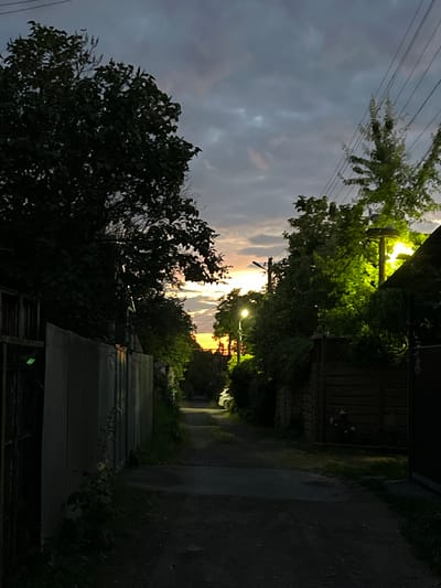 The image depicts a dimly lit, outdoor scene in Nikolayevka, Russia, likely taken during dusk or early evening. The perspective is from a low angle, looking upwards and slightly into the distance, with the photo rotated 90 degrees counterclockwise.

The foreground is dominated by a large, dark green tree on the left, its dense foliage silhouetted against a cloudy sky. Above the tree, several power lines are visible, stretching horizontally across the frame. The sky itself is a mix of dark, moody clouds with hints of lighter, perhaps sunset-colored, hues peeking through towards the center and right of the image.

To the right of the tree, a narrow pathway or alleyway is visible, paved with dark asphalt and bordered by overgrown vegetation and structures. On the right side of the pathway, a wooden fence can be seen, partially obscured by greenery. Further down the path, a streetlamp illuminates the area with a bright, yellowish light, casting a glow on the surrounding trees and foliage. Another, fainter light is visible further in the distance. On the left side of the path, there are some metal structures, possibly sheds or outbuildings, with a translucent or corrugated roof.

The overall mood of the image is quiet and somewhat mysterious, with the fading natural light contrasting with the artificial illumination of the streetlamp. The time of day is clearly indicated by the twilight sky and the lit lamp. There is no text visible in the image.