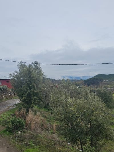 The image depicts a rural landscape within Moqrisset, Morocco, under a heavily clouded, overcast sky. The immediate foreground features a muddy dirt path on the left, bordered by a low dry-stone wall. Adjacent to the path, an unkempt grassy area with patches of dried, tall light-brown vegetation is visible. Dominant flora includes several olive trees with silvery-green leaves, a prominent dark green conifer, and various smaller shrubs. On the upper left, a segment of a red-roofed building, possibly constructed from brick, with one visible rectangular window, is partially obscured by trees. A single black utility cable extends horizontally across the upper-mid section of the frame. The background reveals rolling hills and distant mountains, partially forested and shrouded in atmospheric haze or low clouds. Scattered, indistinct light-colored structures are visible on the distant slopes, indicating limited human settlement. No individuals, animals, or ongoing activities are present within the scene.