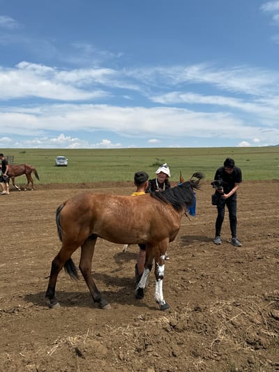 The image depicts an outdoor scene in the city of Orongoi, Russia, under a bright blue sky with scattered white clouds. In the foreground, a brown horse stands on a dirt field. Its hind legs are painted white from the hooves up to the knees. Several people are interacting with the horse. One person, wearing a white hat, stands to the left of the horse's head and appears to be holding it. Another person, wearing a black t-shirt and pants, stands to the right, holding a video camera and filming. A third person, wearing a yellow shirt, is partially visible behind the horse. In the middle ground, another brown horse is being led by a person on the left. Further in the background, a silver SUV is parked in a vast green field. The overall impression is of an event or activity taking place in a rural or open landscape.