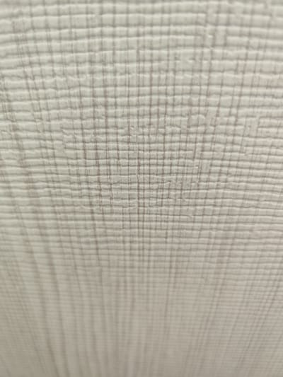 The image displays a close-up, abstract view of a textured, light-colored surface. The surface has a fine, grid-like pattern of raised lines, creating a woven or fabric-like appearance. The lighting appears to be somewhat diffused, casting subtle shadows within the texture. The perspective is slightly angled, with the texture appearing more sharply defined in the upper portion of the image and becoming progressively softer and more blurred towards the bottom. No specific location in the city of Lyepyel, Belarus, is identifiable from this abstract textural detail. There are no people, subjects, objects, actions, or interactions visible. The environment is simply this textured surface.