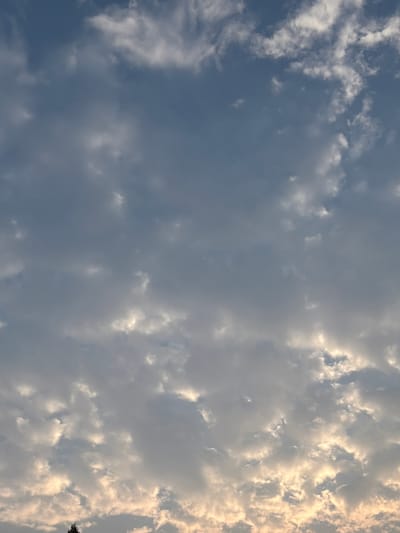 The image displays a cloudy sky over the city of Leninsk-Kuznetskiy, Russia. The clouds are a mix of white and gray, with some areas illuminated by sunlight. The lower portion of the image shows the silhouette of a tree against the sky. There are no people or discernable objects in the sky.