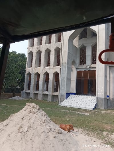 The image captures a three-quarter view of a multi-story concrete building, likely a mosque, located in Kaliganj, Bangladesh. The building's exterior is unfinished grey concrete, featuring multiple levels of arched windows fitted with dark grilles. A prominent entrance on the right side of the structure is accessed by wide, white tiled steps with blue risers, leading to dark brown double doors. In the foreground, a large mound of light brown sand is centrally positioned. A reddish-brown dog is lying on the right side of this sand pile, facing right with its front paws extended. Green grass covers the ground between the sand pile and the building, where smaller heaps of construction debris are also visible. Dense green foliage from trees lines the left side of the building, beneath a clear, bright sky. The photograph appears to be taken from within a vehicle, evidenced by a dark overhead frame and a red grab handle visible at the top and right edges of the frame. A digital timestamp "04/12/2025 13:53" is present in the lower right corner.