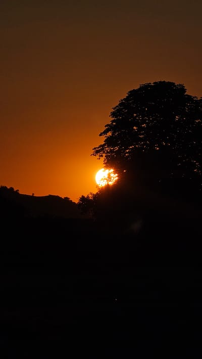 This is a vertical, silhouetted image of a sunset in Roßleben, Germany. The sun, a bright orange orb, is partially obscured by the leaves and branches of a large tree in the foreground, creating a dramatic effect of light rays breaking through. The tree itself is a dark silhouette against the vibrant orange sky. In the middle ground, a dark, rolling hillside is visible, also in silhouette. The overall impression is one of a serene and picturesque natural landscape at dusk.