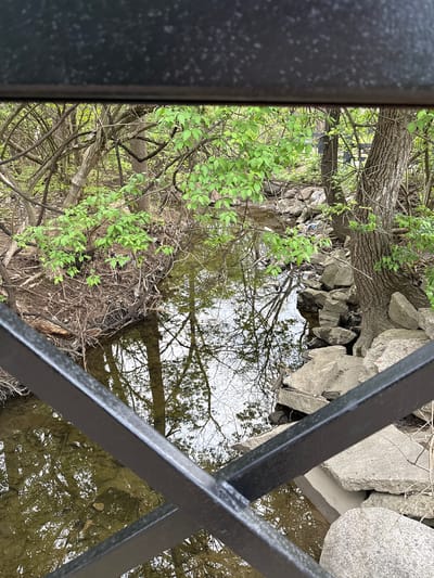 The image shows a view from a bridge in Grove City, Ohio, United States of America. A black metal railing is visible in the foreground. Beyond the railing, there is water with reflections of trees and sky. One side of the water bank is lined with large rocks and a tree trunk. There are also branches with budding green leaves and tangled dry branches.