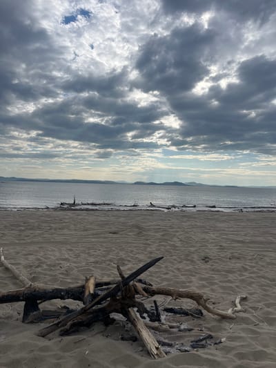 The image depicts a beach scene with a bonfire pit in the foreground and a body of water stretching to the horizon under a cloudy sky. The sand on the beach is textured with ripples. Scattered driftwood, some appearing charred, forms a bonfire structure in the lower portion of the frame. Beyond the sand, a calm body of water, likely a lake or sea, is visible. In the distance, a hazy shoreline with rolling hills or mountains can be seen. The sky is filled with heavy, dark clouds, with patches of lighter sky and sunlight breaking through in some areas. There are no people visible in the image. The location is not specified in Krasnoturansk, Russia.