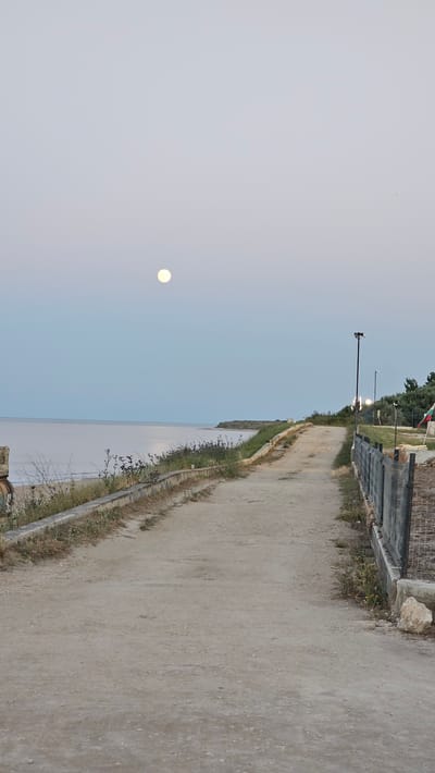 The image depicts a dirt road leading towards the sea under a pale, twilight sky. A bright, full moon is visible high in the sky. The road is flanked on the left by a low concrete wall with sparse vegetation growing on and around it. Beyond the wall is the calm sea, reflecting the moonlight. On the right side of the road, there is a wire fence and a few lampposts with lights on, suggesting a developed area adjacent to the natural landscape. Further along the road, trees and a Bulgarian flag are visible. The overall impression is a tranquil evening scene at the coast near Shabla, Bulgaria.