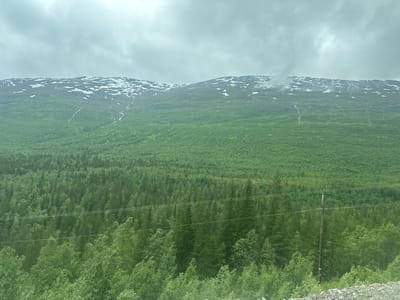 The image depicts a lush, green forested hillside leading up to a snow-capped mountain range under a cloudy sky. The foreground features a dense forest with varying shades of green, indicating a mix of tree types. Several power lines stretch horizontally across the lower part of the image, supported by a visible wooden utility pole on the right. The midground shows a vast expanse of trees, forming an undulating carpet of green that climbs the mountain. The upper portion of the mountain is rugged and rocky, with patches of snow scattered across its surface. Streaks of water or snowmelt run down the mountainside in places, creating white lines against the darker rock and vegetation. The sky is overcast with heavy, gray clouds, suggesting a cool or possibly damp day. The overall impression is one of a wild, natural landscape, possibly in a mountainous region during a transitional season like late spring or early summer when snow still lingers at higher elevations. There is no visible text in the image.