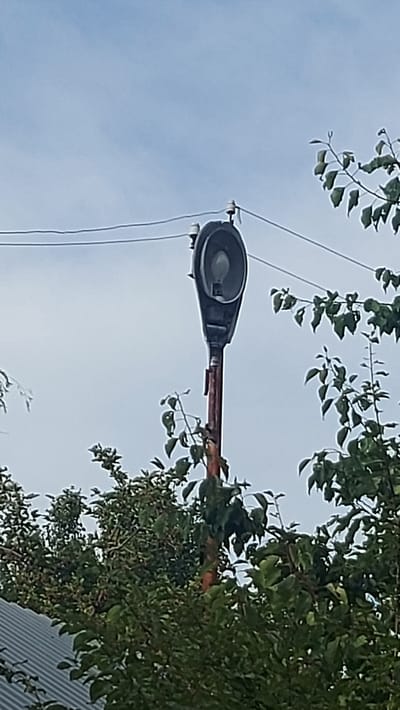 An outdoor, low-angle, full-shot photograph shows a streetlamp in Oshakan, Armenia. The lamp, which is mounted on a metal pole, is dark gray with a light bulb visible inside. The pole is rusty red and appears to be attached to overhead wires, which are supported by insulators. Lush green trees and a gray corrugated metal roof fill the bottom of the frame. The sky is a pale blue and overcast.