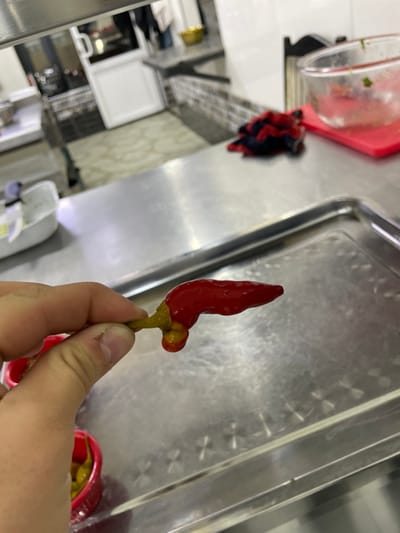 A human hand holds a single, elongated, glossy red chili pepper by its green stem in a commercial kitchen in Chinabad, Uzbekistan. The pepper is approximately 7-9 cm in length, exhibits an irregular, slightly curved form, and features a distinct small, bulbous, yellowish growth near the stem attachment point. The hand, showing a visible thumb and forefinger, positions the pepper above a scratched, reflective stainless steel countertop. A silver metal tray occupies the lower right quadrant of the image. Partially visible in the lower-left is a small red plastic cup containing small, yellow-green items, likely more peppers or condiments. In the midground, a clear glass bowl with food residue rests on a rectangular red cutting board, alongside a folded red and black checkered cloth. Further to the left, a white plastic container is visible. The background reveals additional kitchen elements, including dark-tiled backsplash walls, a white door frame or archway, and a golden decorative bowl on a distant counter. The floor appears to be a light-colored patterned tile.