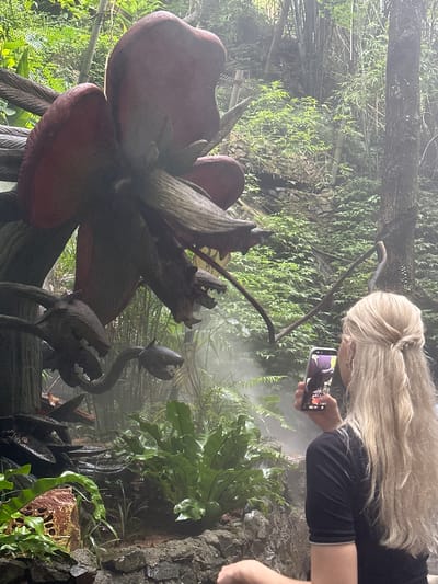 The image captures a scene within the immersive "Avatar: Pandora - The World of Avatar" attraction at Shanghai Disneyland, China, specifically designed to replicate the alien world from the film. In the foreground, a woman with long blonde hair pulled into a ponytail, wearing a black t-shirt, is holding a smartphone up to take a photograph of a large, fantastical, flower-like structure. The structure appears to be a prop, likely made of fabricated materials designed to mimic organic elements, with dark, textured petals and woody tendrils. Its scale is imposing, dominating the left side of the frame.
The environment is lush and overgrown, suggestive of a humid, alien jungle. Various types of foliage, including large, broad-leafed plants and ferns, are visible in the midground and background. Tall, slender bamboo stalks are prominent in the far background, interspersed with other trees and vegetation. The scene is shrouded in a light mist or fog, creating an atmospheric and ethereal quality, which is accentuated by the dim lighting. Natural rock formations are visible along the ground, adding to the rugged, naturalistic feel of the exhibit. The woman is positioned to the right of the frame, her attention focused on capturing the detail of the alien flora with her phone. The overall impression is one of a carefully constructed, themed environment designed to transport visitors into a fantasy world.
