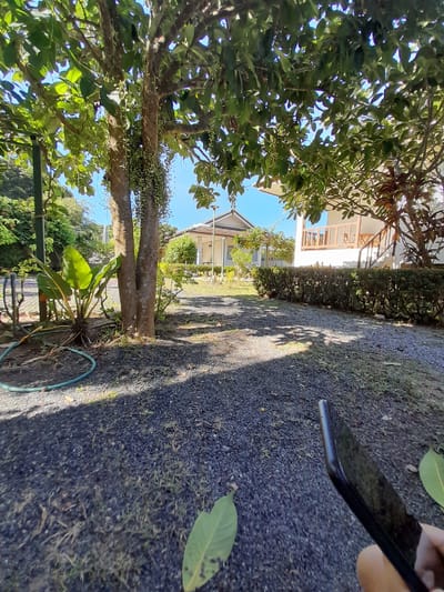 In Baan Mae Nam, Thailand, a gravel pathway leads through a garden area towards a white building with a wooden balcony and stairs. The pathway is bordered by manicured bushes on the right and a large tree with hanging vines on the left. A bright green hose lies on the ground near the tree, next to a large-leafed plant. The sky is clear and blue. In the foreground, a person's hand holds a dark smartphone, angled towards the pathway.