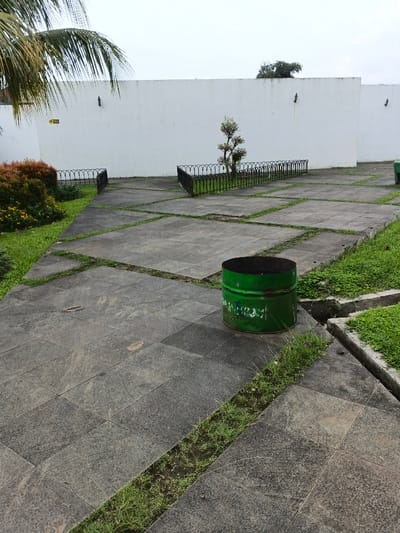 The image displays an outdoor paved area in thành phố Biên Hòa, Vietnam, under an overcast sky. The ground is primarily covered with large, square, grey paving stones, with narrow strips of green grass growing in the interstices. A linear drainage channel, also with grass, runs along the right side of the paved section.
In the foreground-right, a cylindrical, cut-off green metal drum, appearing weathered and rusted with remnants of light-colored text, rests on the paving. To the left, a dense, manicured bush with reddish-brown foliage and visible yellow flowers borders the pathway. Further back, a small, multi-trunked tree, possibly sculpted, is enclosed by a low, curved black metal fence. Two additional sections of similar black metal fencing define an opening or path segment to the left of the tree.
The background is dominated by a long, plain white wall, exhibiting minor staining and weathering. Small, dark fixtures are mounted intermittently along the top edge of the wall, and a yellow warning sign is partially visible on the wall's left portion. Palm fronds extend into the upper-left of the frame from an unseen tree. No individuals, actions, or direct interactions are depicted in the scene.