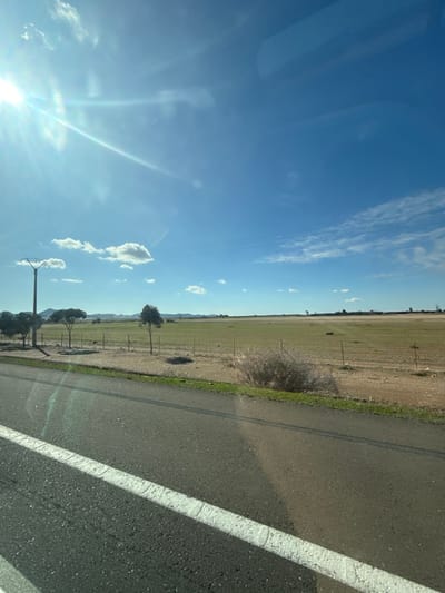 The scene depicts a wide-angle outdoor landscape in Nzalat Laadam, Morocco, captured under a bright, sunny sky with scattered white cumulus clouds. The perspective is from a vehicle traveling on an asphalt road, visible in the lower foreground with a prominent solid white lane marker. To the left of the road, a tall, dark utility pole or streetlight with a distinctive Y-shaped top stands upright. Beyond the pole, a sparse line of small, young trees with minimal foliage is planted along the edge of a vast, flat agricultural field, which appears predominantly green. A simple fence with visible posts delineates the field's boundary. Further into the mid-ground, a large, dry shrub or bush is situated near the road's edge on the right. In the far distance, low-lying hills or mountains are visible on the horizon. Thin power lines traverse the blue sky in the upper mid-ground. The sun, positioned in the upper left, emits a strong lens flare and distinct light rays across the upper sky. No individuals or animals are present.