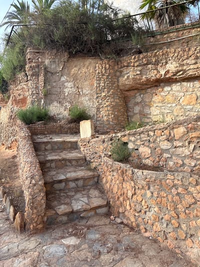 The image depicts an exterior view of a stone staircase and retaining wall, likely part of a garden or landscape feature within Urbanización Cabo Roig, Spain. The staircase, constructed from irregular stone slabs, ascends from a stone-paved ground level. It is bordered by a rough stone wall. Above the staircase, a weathered, textured wall constructed from a mix of stones and what appears to be stucco or plaster is visible. This wall is topped with dense, dry vegetation and palm fronds, with a hint of a metal railing in the upper left corner. The retaining wall to the right of the stairs is also made of smaller, rough-hewn stones. Small green plants are growing in pockets within the retaining walls and on ledges of the upper wall. The overall scene suggests an aged, somewhat overgrown, and naturalistic outdoor setting. There are no people or animals visible.