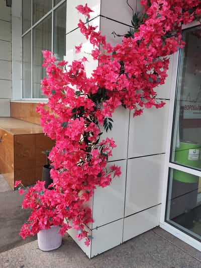 The image shows a building exterior decorated with vibrant pink artificial bougainvillea flowers. The flowers cascade down a white tiled wall, wrapping around a corner and spilling into a white woven planter on the ground. The planter contains more of the pink flowers, with some dark foliage visible.

The building has large windows with a grid pattern. To the left, there are steps with brown tiled risers and a light-colored tiled surface. The ground is paved with speckled stone.

To the right of the flowers, a glass storefront reveals a glimpse of the interior, including a green cylindrical object and some signage. One sign has Russian text that includes "ВОРОБЬЕВ" and "мореовый центр". Another sticker on the green object has Russian text that includes "ОРАТОРИЯ АМЫ" and "ALR.RU".

The lighting suggests it is daytime, possibly late afternoon due to the shadows. The weather appears to be clear. The scene is a decorative element outside a commercial building, likely intended to enhance its visual appeal. No people are visible in the image.