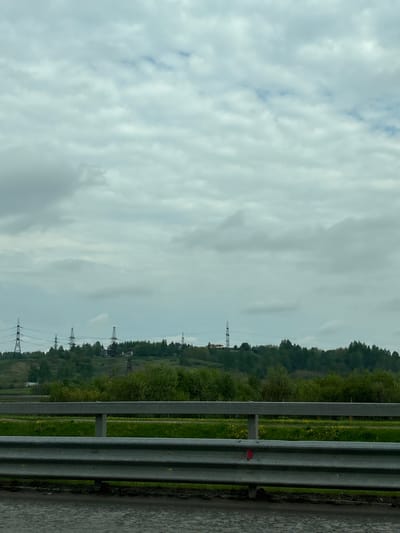 The image shows a view from a roadside, likely taken from a moving vehicle on a highway in Poroshkino, Russia. A metal guardrail runs along the right edge of the frame, suggesting a road or bridge. Beyond the guardrail, there is a grassy field with occasional yellow flowers, leading to a treeline with dense foliage. Several electrical transmission towers are visible in the distance, connecting to power lines that stretch across the landscape. The sky is overcast with a dense layer of grey and white clouds, indicating a cloudy or possibly rainy day. There are no people visible in the image.