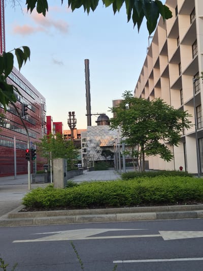 The image captures a detailed street-level view of the Belval district in Sanem, Luxembourg, during what appears to be late afternoon or early evening, characterized by soft light and a blend of modern architecture and preserved industrial heritage.
On the left, a multi-story building with a striking, highly reflective red or burgundy facade dominates, featuring numerous horizontal windows. In front of it, a grey traffic light pole displays both a red light (top) and a green light (bottom) for vehicles, with a white pedestrian crossing (zebra stripes) visible on the street below.
On the right, a tall, multi-story building with a distinctive white or light grey facade exhibits a repeating grid of deep, square recesses, creating a textured pattern. A red fire hydrant is visible at the base of this building on the right side of the frame.
In the center background, prominent elements of Belval's industrial past are visible: a very tall, slender, dark grey metallic chimney or stack rises vertically, and to its left, another industrial structure composed of multiple dark, reddish-brown pipes or stacks clustered together. Below these, a modern building with a complex, reflective, geometric-paneled facade integrates with or reflects a rounded, dome-like structure, indicative of the preserved blast furnaces.
The foreground features a paved asphalt road with a partially visible, faint white arrow painted on its surface, pointing straight ahead. A concrete curb separates the road from a planting strip filled with dense, low green shrubbery. Beyond this, a paved pedestrian area extends, dotted with several grey cylindrical poles. A deciduous tree with full green foliage stands in the midground, positioned between the red and white buildings. The sky overhead is a clear, light blue, with a few wispy, light pinkish clouds. Dark green leaves from an unseen tree frame the top edge of the image. No people or active vehicles are visible in the scene.