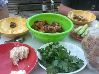 The image depicts an outdoor gathering, likely a barbecue, with several food items laid out on a table. In the foreground, a red plate holds a piece of bread and some white sauce. To the right, a white bowl is filled with fresh parsley. Behind these, a green bowl contains grilled meat. Further back, a yellow bowl holds what appears to be meatballs with onions. To the right of the green bowl, a plate displays sliced cucumbers. A loaf of bread is visible, partially wrapped in plastic. In the background, a person is seated at the table, and a beer bottle and a small silver canister are present. The scene suggests a casual meal being enjoyed outdoors, with natural light indicating it is daytime. The setting appears to be a rustic outdoor area, possibly a backyard or picnic spot.