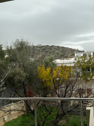 An exterior photograph captured in the Kalyvia Thorikou Municipal Unit, Greece, displays a landscape under an overcast sky. The foreground is occupied by a metallic balcony railing, featuring horizontal bars and vertical supports in a silver finish. Immediately below the railing, a garden plot is visible, characterized by green ground cover and multiple trees. These include several deciduous trees, largely bare or with minimal foliage, and one prominent tree exhibiting vibrant yellow leaves in the center-left. Evergreen trees with olive-green leaves are interspersed within the mid-ground vegetation.
Behind the immediate tree line, sections of residential buildings with white facades and visible windows are present. One building displays a flat roof adorned with an antenna array. The background is dominated by a large hill or small mountain, covered in sparse, scrubby, brownish-green vegetation. Scattered light-colored houses and structures are discernible on the hill's slopes and near its summit. The sky is uniformly grey and heavily overcast, indicating significant cloud cover. No individuals or discernible actions are observed.