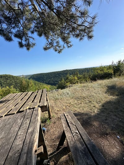 The image depicts a scenic overlook with a weathered wooden picnic table and bench in the foreground. The table and bench are constructed from rough, aged planks, showing signs of wear and tear. Beyond the picnic furniture, a lush, green valley stretches out, covered in dense forest. The sky is clear and blue, with a few wispy clouds visible in the distance. Pine branches hang down from the top of the frame, casting shadows on the scene. The location is identified as Malozalissia, Ukraine, suggesting a natural, possibly rural or park-like setting. There are no people or animals visible in the image. The environment appears dry and somewhat overgrown, with patches of dry grass and dirt around the picnic area. A discarded can is visible on the ground near the picnic table.