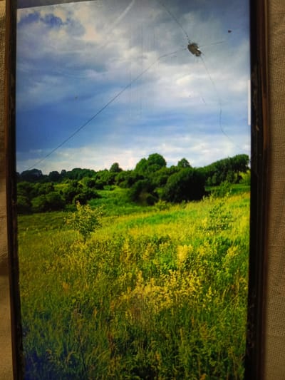 The image displays a rural landscape with rolling green hills and a partly cloudy sky. The foreground is dominated by tall, vibrant green grass interspersed with yellow wildflowers, suggesting a summer or late spring setting. A line, possibly a power line, stretches across the sky. In the middle ground, lush green trees and bushes form a dense canopy, with some appearing to be deciduous. The background shows a further expanse of trees on the horizon. The overall impression is one of natural beauty and tranquility. The image appears to be taken from a mobile device as evidenced by the bezel and screen texture, and there are visible cracks on the screen obscuring parts of the view. There is no identifiable information within the image to suggest its location in the city of Svoboda, Russia.