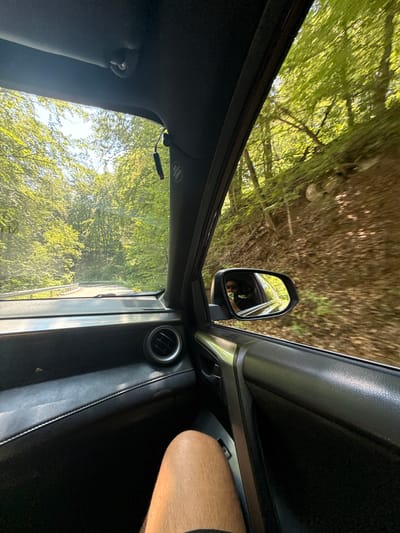 An interior view from a moving car shows a person's leg in the foreground, a dashboard with an air vent, and a side mirror reflecting a person wearing sunglasses. Outside the car, lush green trees line a winding road, indicating a forest or mountainous environment, consistent with the location of Ravnogor, Bulgaria. The scene suggests travel on a sunny day.