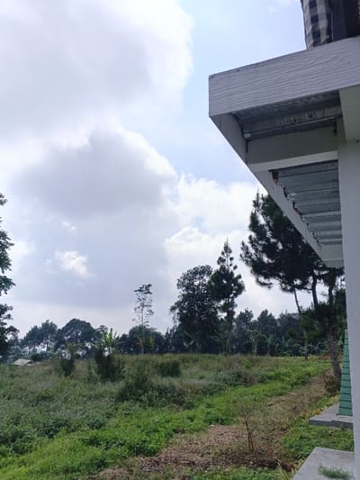 The image displays an outdoor landscape in Man Gyat, Myanmar, viewed from a slightly elevated position beneath a building's overhang. The upper portion of the frame features a bright, partially cloudy sky, exhibiting large white cumulus clouds against a light blue background.
In the right foreground and mid-ground, a white architectural overhang extends diagonally from the upper right corner downwards. This overhang features a white, wood-textured fascia and reveals a corrugated metal underside with visible structural supports and minor rust or discoloration. A dark, checkered or striped fabric item is partially visible on top of the overhang in the extreme upper right. Below the overhang, a segment of a white wall is present, leading to a concrete or paved surface at the bottom right of the frame.
The central and left portions of the image are dominated by a sloping, uncultivated field covered in dense green and brownish-green vegetation, including various grasses, shrubs, and small plants. The terrain appears uneven. A dense line of diverse trees forms the horizon, comprising tall, slender trees with sparse foliage, several dark green coniferous trees, and broader-canopied deciduous trees. Some banana plants are also discernible among the tree line in the mid-ground. No human figures or discernible human activity are visible within the scene.