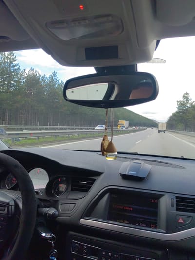 Captured from within a car, the image shows a view of a highway lined with dense evergreen trees, possibly a forest or mountainside, under an overcast sky. Other vehicles are visible on the highway in the distance, including a large truck. The car's dashboard is in the foreground, showing the steering wheel, instrument panel, a radar detector, and a media display indicating "External device", along with the date 04-04-2026 and a temperature of 12°C. A rear-view mirror hangs from the ceiling, reflecting part of the scene outside. The red light on the car's ceiling is also visible. There is no direct indication of Gorna Vasilitsa, Bulgaria in the image, but given the highway and surrounding natural environment, it is possible the picture was taken in a rural or mountainous region of Bulgaria.